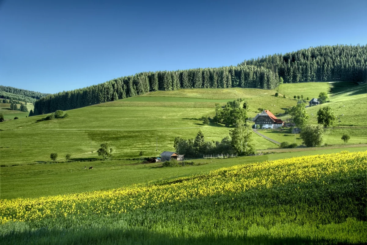 Jak przygotować plan komunikacji CSR dotyczący opakowań, by uniknąć zarzutów greenwashingu