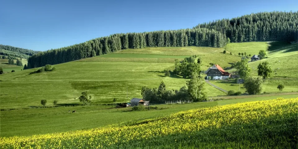 Jak przygotować plan komunikacji CSR dotyczący opakowań, by uniknąć zarzutów greenwashingu