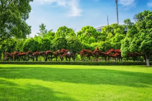 Korzyści i koszty certyfikatów: ISO 14001, EMAS i inne